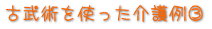 �Õ��p������
