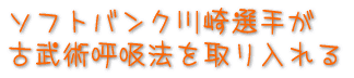 �\�t�g�o���N���I�肪�Õ��p�ċz�@���������